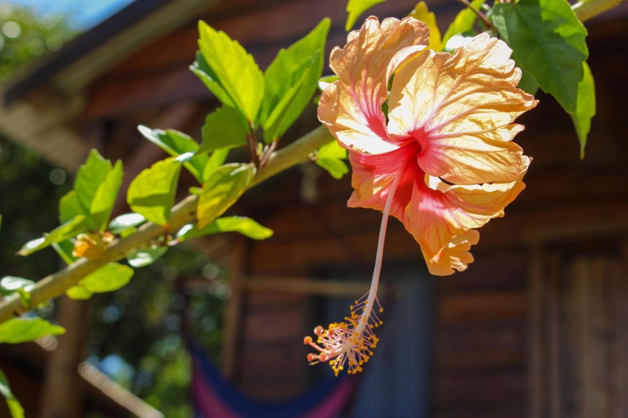 The Lighthouse Retreat, Little Corn Island, Nicaragua Hotel Luaran gambar